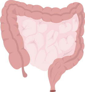 colorectal_small_ bowel@644x694